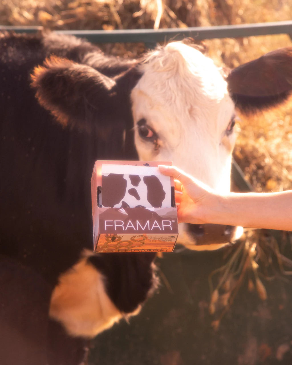Framar Yeehaw Melírfólia 500db